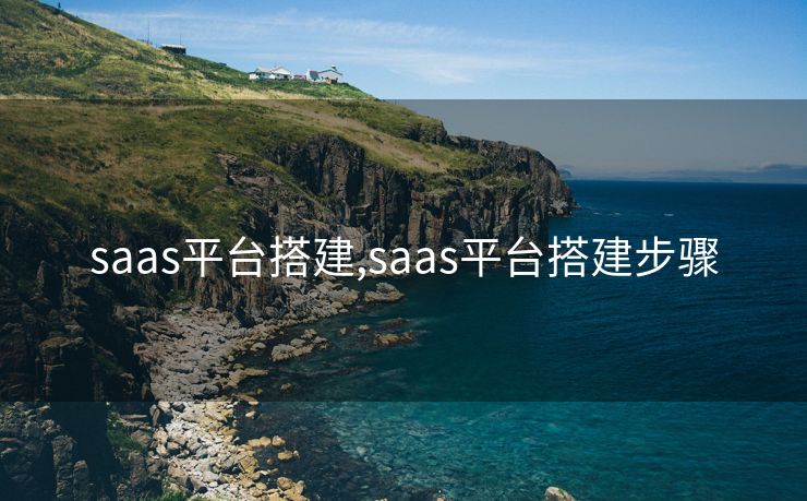 saas平台搭建,saas平台搭建步骤