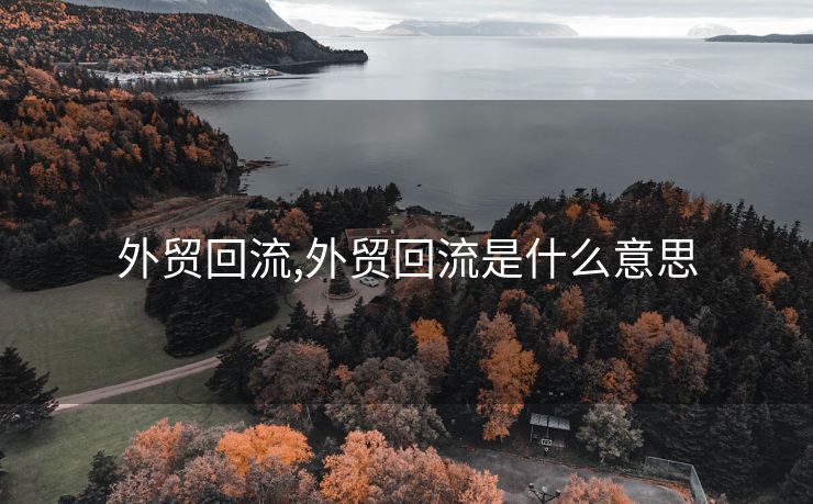 外贸回流,外贸回流是什么意思