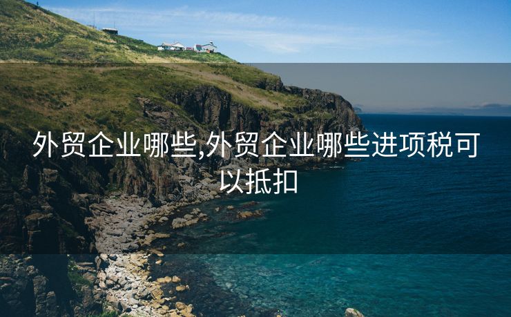 外贸企业哪些,外贸企业哪些进项税可以抵扣