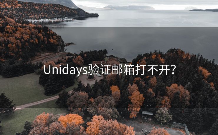 Unidays验证邮箱打不开？