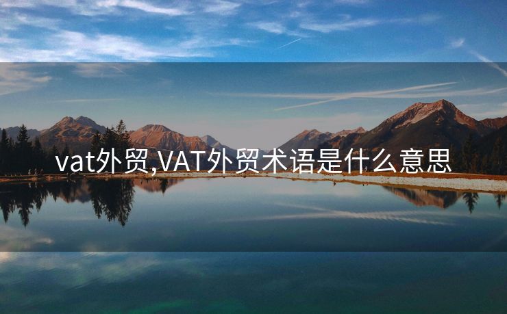 vat外贸,VAT外贸术语是什么意思